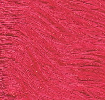 12inch (30cm) Open Ended Zip